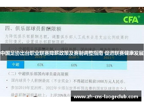 中国足协出台职业联赛降薪政策及赛制调整指南 促进联赛健康发展