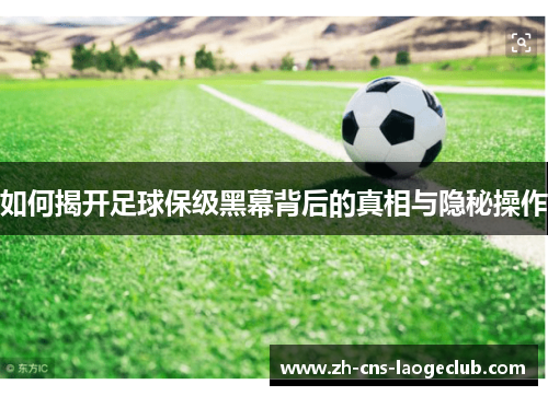 如何揭开足球保级黑幕背后的真相与隐秘操作