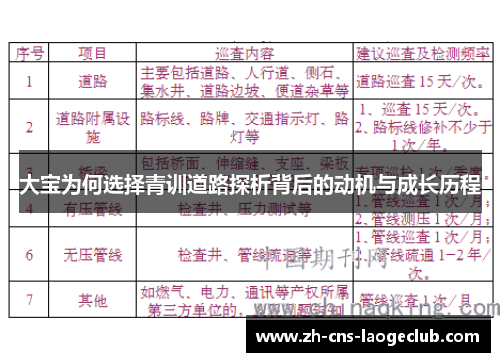大宝为何选择青训道路探析背后的动机与成长历程