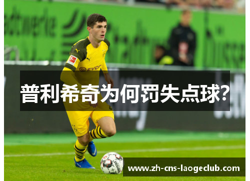 普利希奇为何罚失点球？