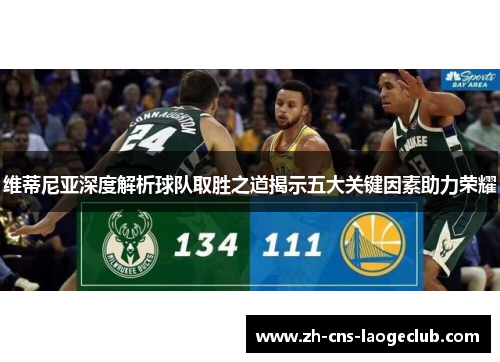 维蒂尼亚深度解析球队取胜之道揭示五大关键因素助力荣耀