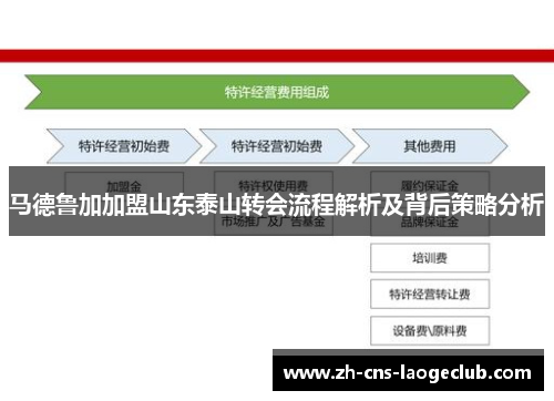 马德鲁加加盟山东泰山转会流程解析及背后策略分析