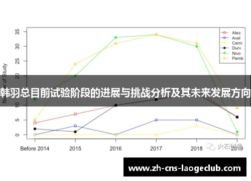 韩羽总目前试验阶段的进展与挑战分析及其未来发展方向 韩羽总目前试验阶段的进展与挑战分析及其未来发展方向