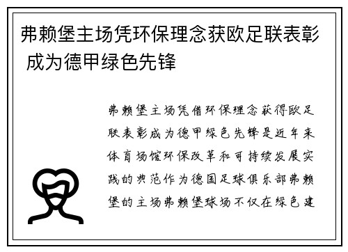 弗赖堡主场凭环保理念获欧足联表彰 成为德甲绿色先锋 弗赖堡主场凭环保理念获欧足联表彰 成为德甲绿色先锋